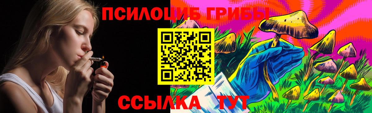 наркошоп  Галлюциногенные грибы GOLDEN TEACHER  Вход с VPN  Ульяновск 